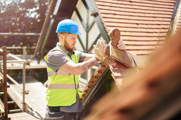 Best Roof Gutter Cleaning  in Tyndall Af, FL